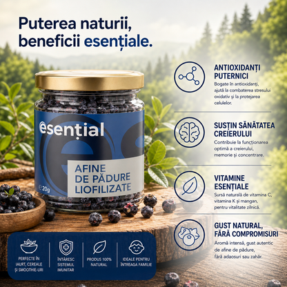 Afine de pădure liofilizate, 20g Esential