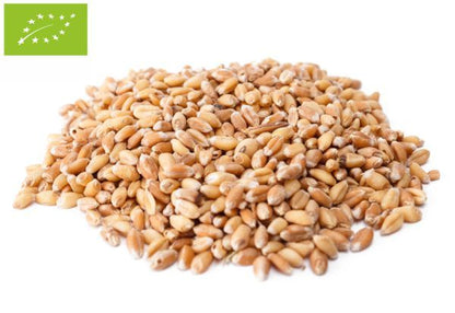 Grau bio boabe, 25kg Pronat