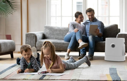 Umidificator si purificator de aer H320