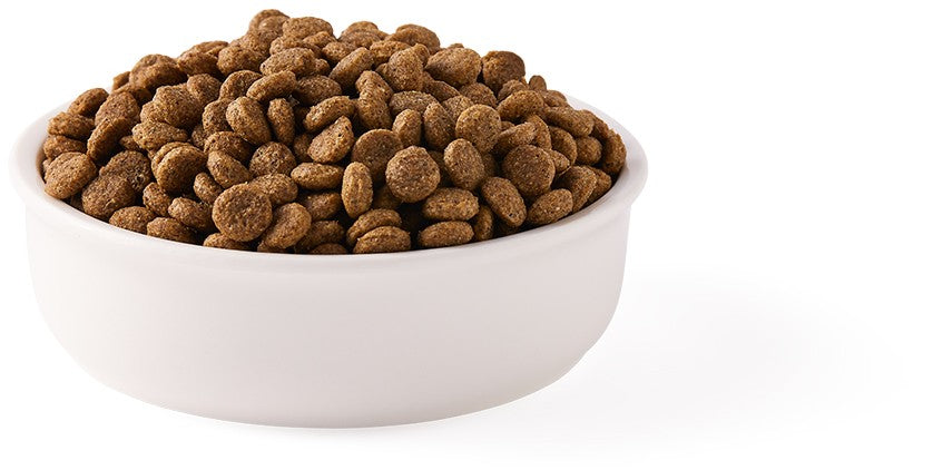 Hrana uscata bio pentru pisici, cu peste, 31% proteina si 14% grasimi, fara cereale, 2.4kg Yarrah