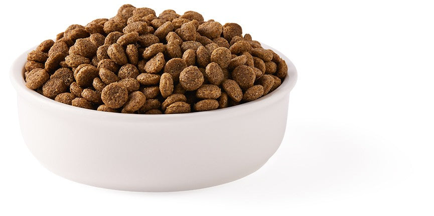 Hrana uscata bio pentru pisici, cu peste, 31% proteina si 14% grasimi, fara cereale, 800g Yarrah