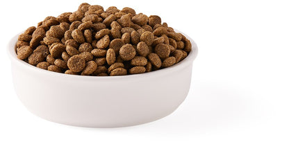 Hrana uscata bio pentru pisici, cu peste, 31% proteina si 14% grasimi, fara cereale, 800g Yarrah