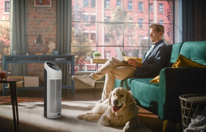 Purificator de Aer P370