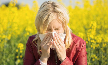 P340 Filtru hepa pentru purificator de aer Boneco