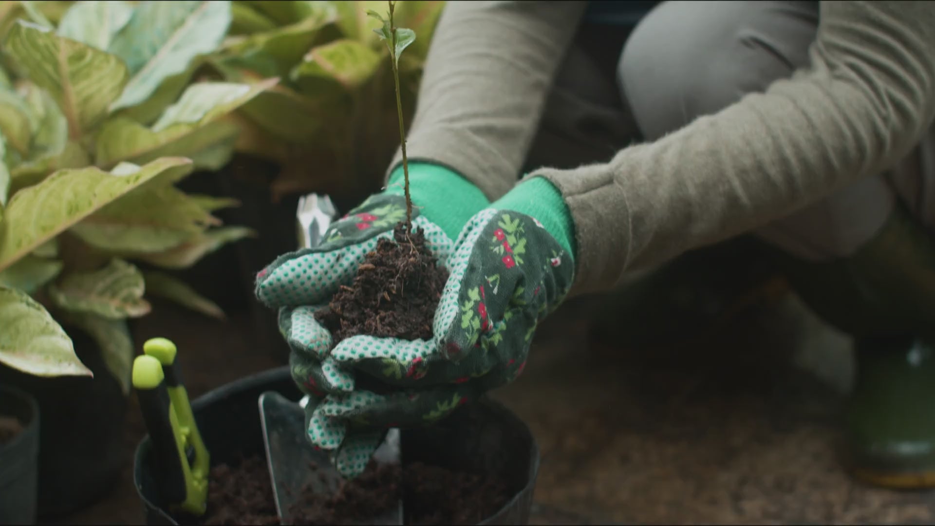 Încarcă clipul video: 