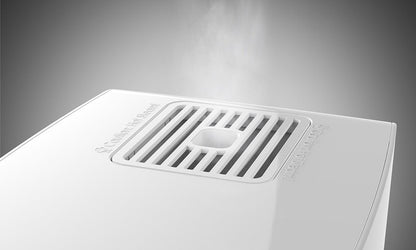 S250 Steamer vaporizator cu abur Boneco