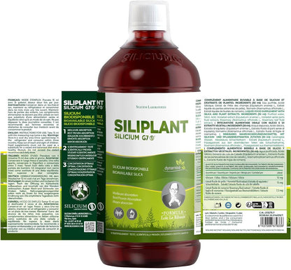 Siliciu G7 Siliplant Siliciu organic extras din planta coada-calului, 1000ml