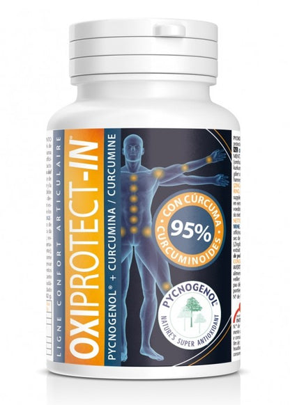 Supliment alimentar pentru protectia articulatiilor Arti Protect Plus