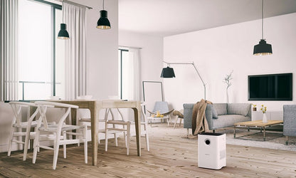 W200 Aparat pentru spalarea aerului Boneco